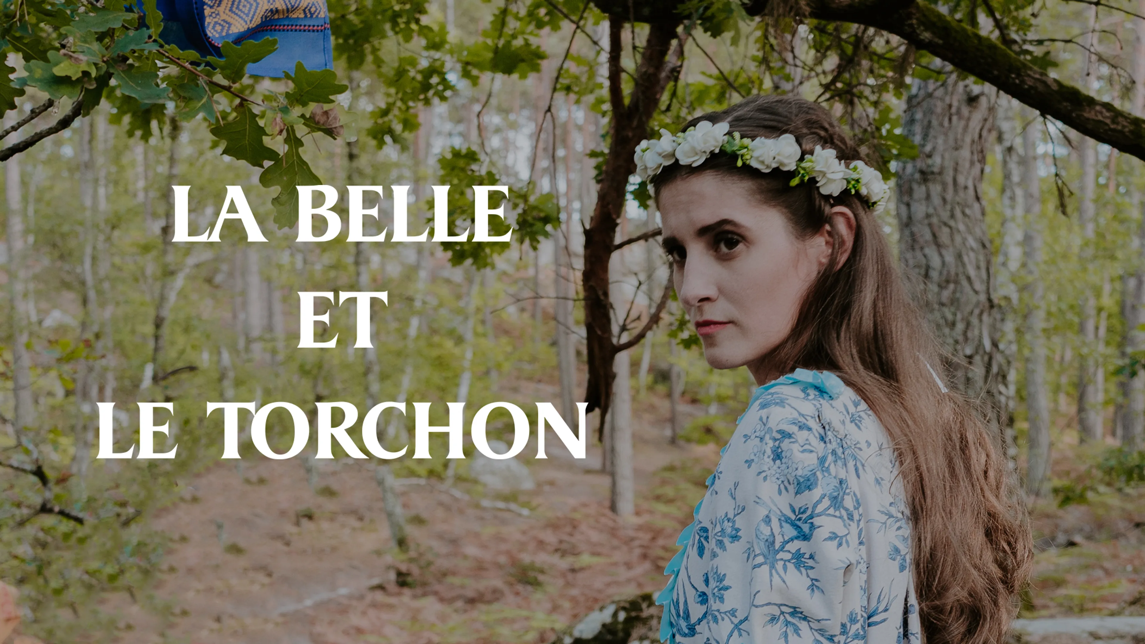 La Belle et le Torchon poster